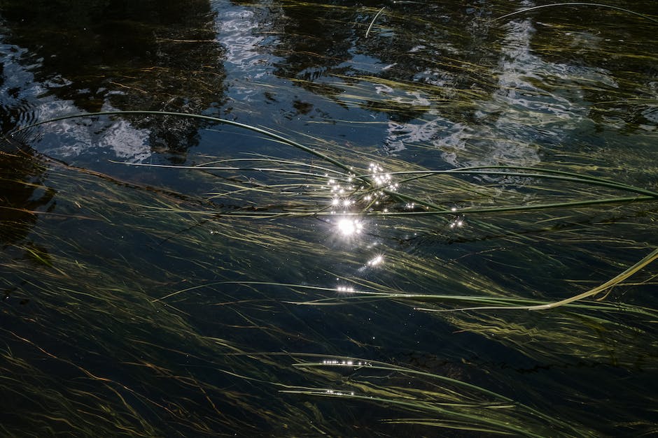 Wer-hat-Schleim-erfunden